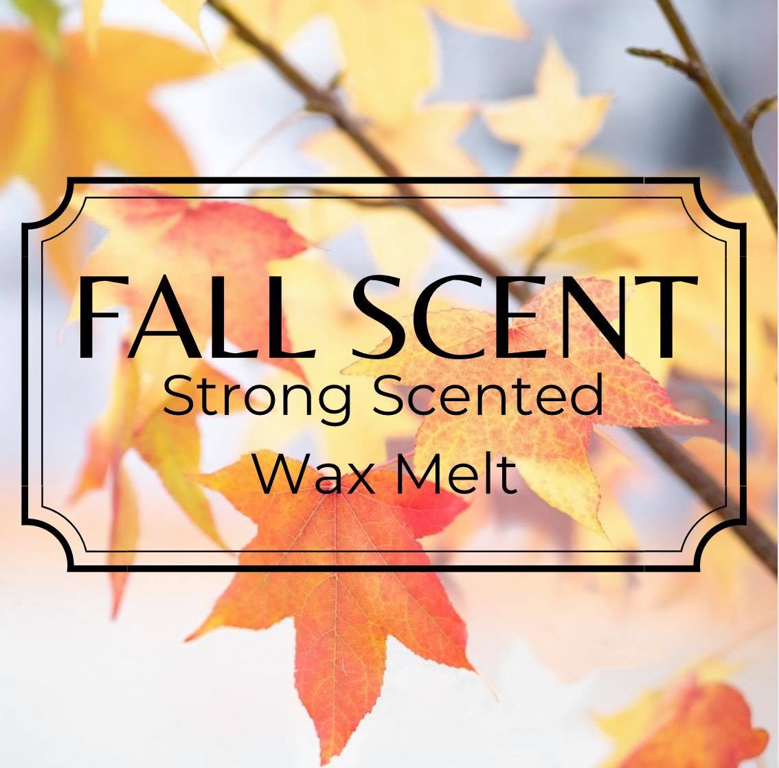 FALL SCENTS – Scotlin Scents