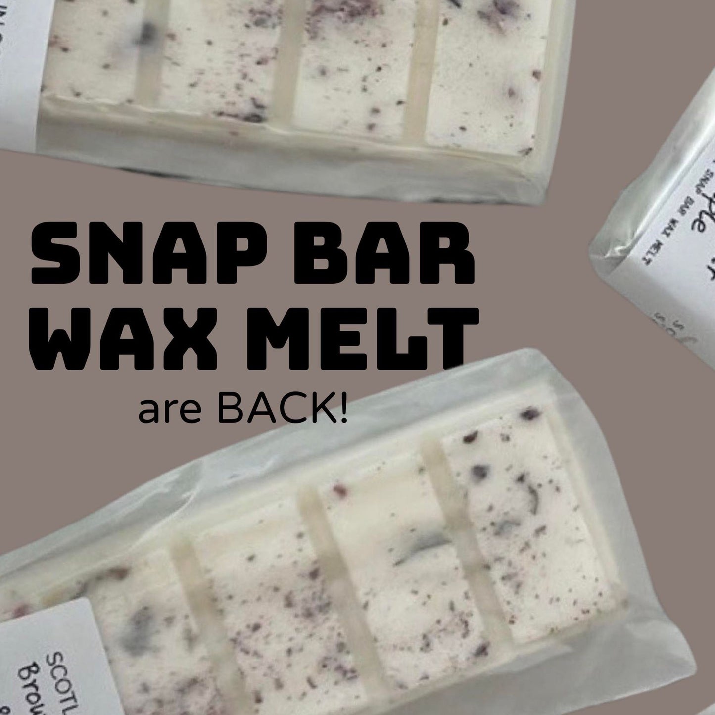 Snap Bar Wax Melt