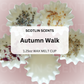 Autumn Walk |  Wax Melt Cups in Wax Melt Liners (1.25 oz Each) | Easy Clean up | Gifting