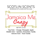 Jamaica Me Crazy
